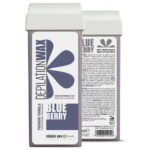 Blueberry 100ml